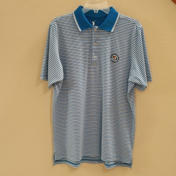 ⛳NWOT Fairway & Greene Arnold Palmer's Latrobe Country Club Striped Polo Shirt - Picture 2 of 6